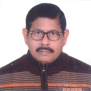 নিরঞ্জন রায়